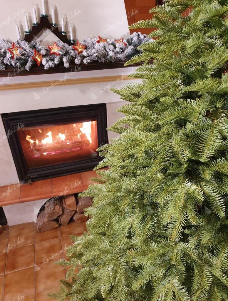 FULL 3D Kaukázusi Jegenyefenyő