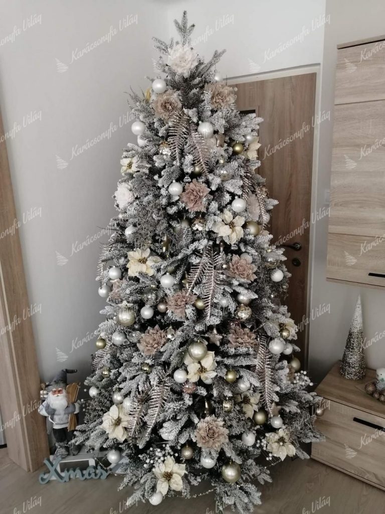 3D Királyi Lucfenyő 210cm