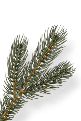 3D-s Ezüst Műfenyő 210cm