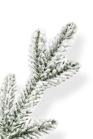 3D Királyi Lucfenyő