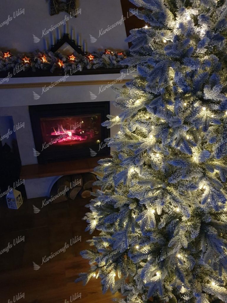 3D Királyi Lucfenyő LED