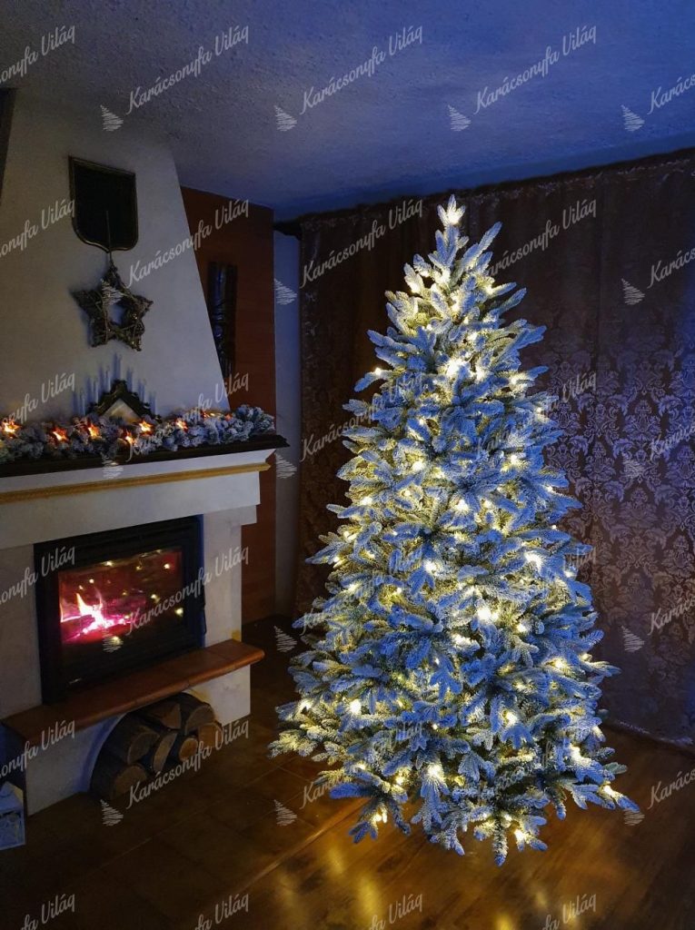 3D Királyi Lucfenyő LED