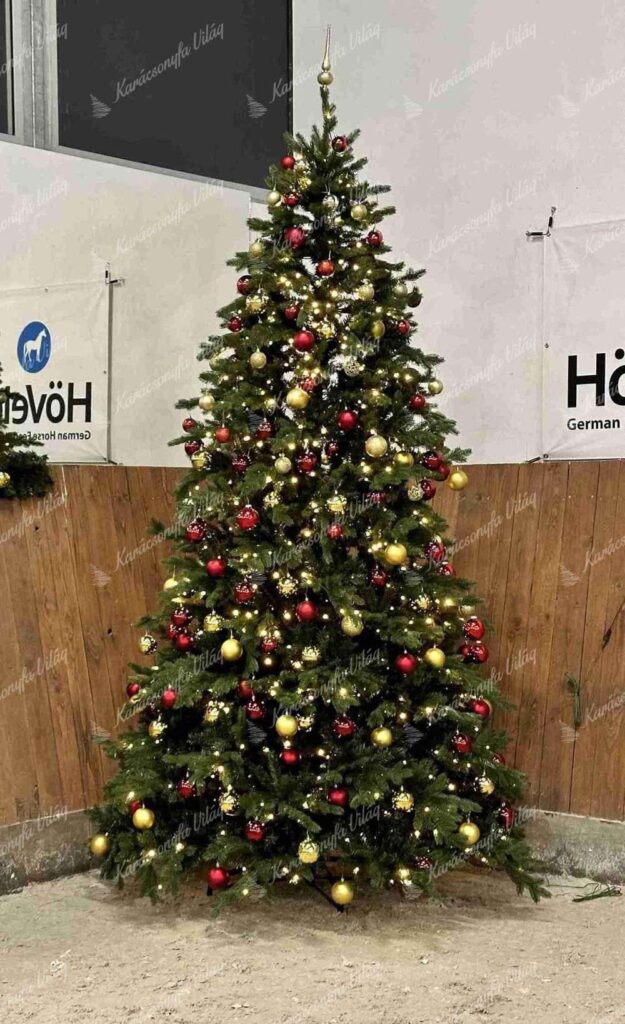3D Exkluzív Lucfenyő 300cm LED1000
