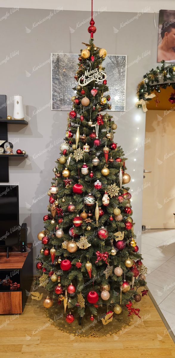 Keskeny Norvég Lucfenyő 220cm